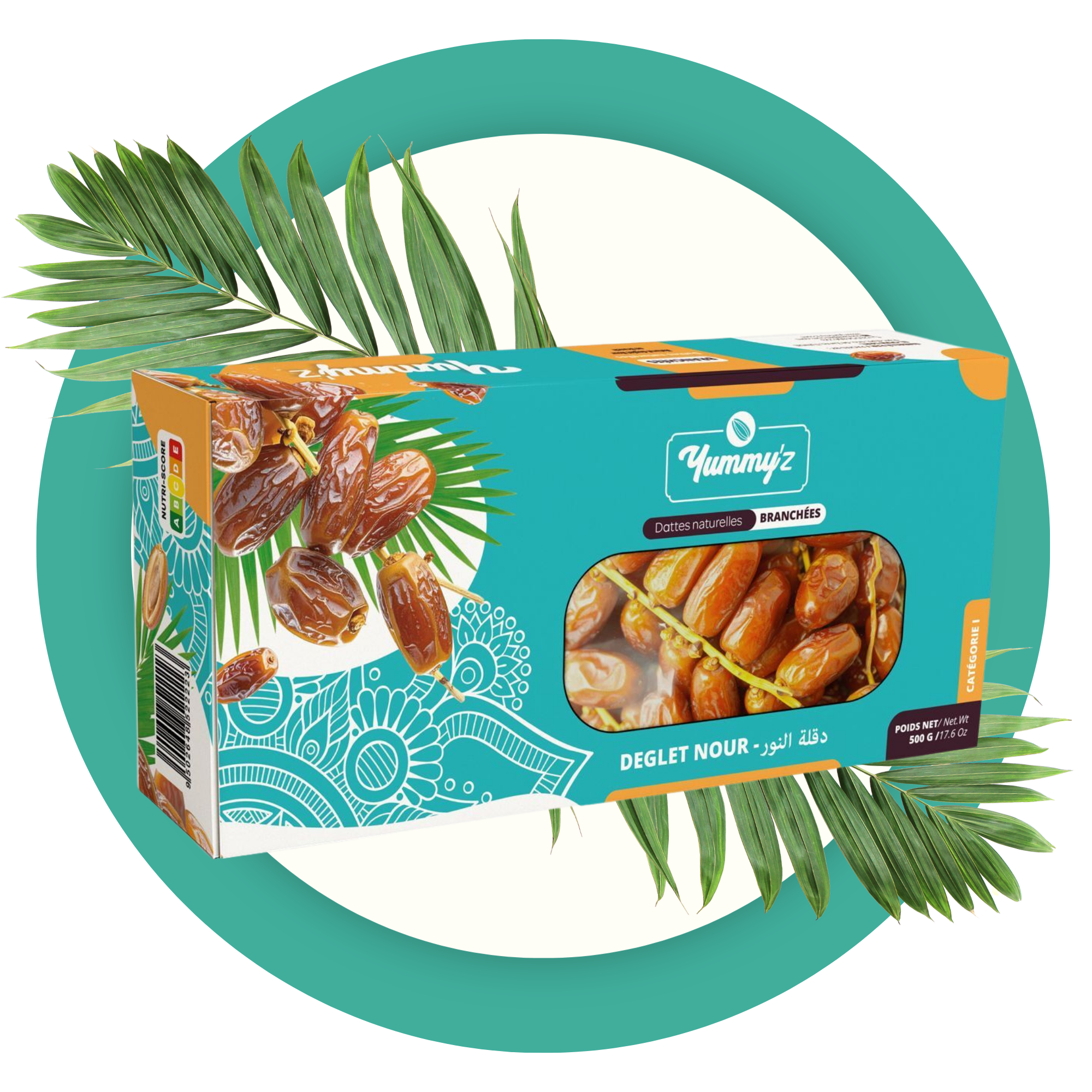 dattes Deglet Nour branchées conditionnement Tunisie yummy'z