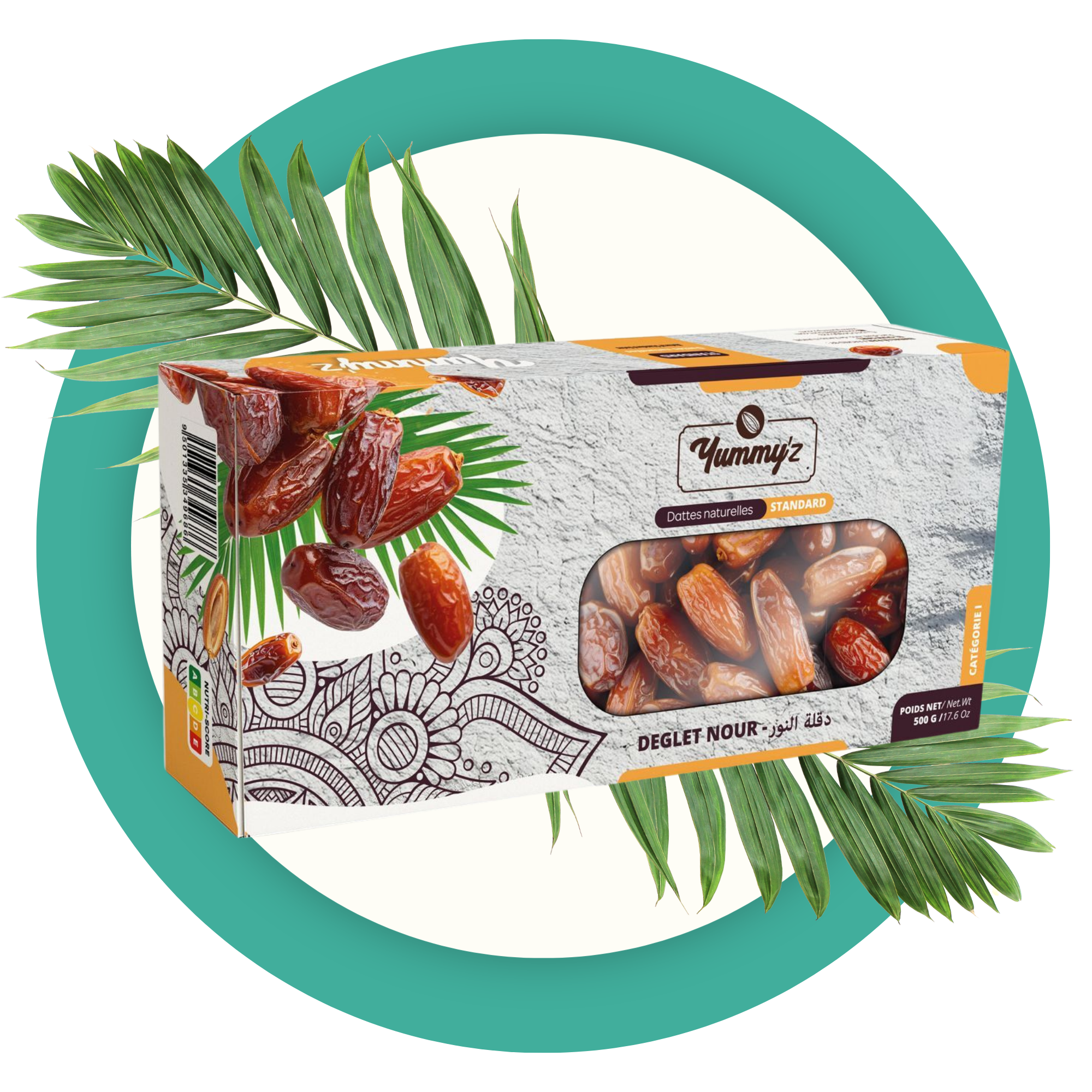 dattes Deglet Nour branchées conditionnement Tunisie yummy'z
