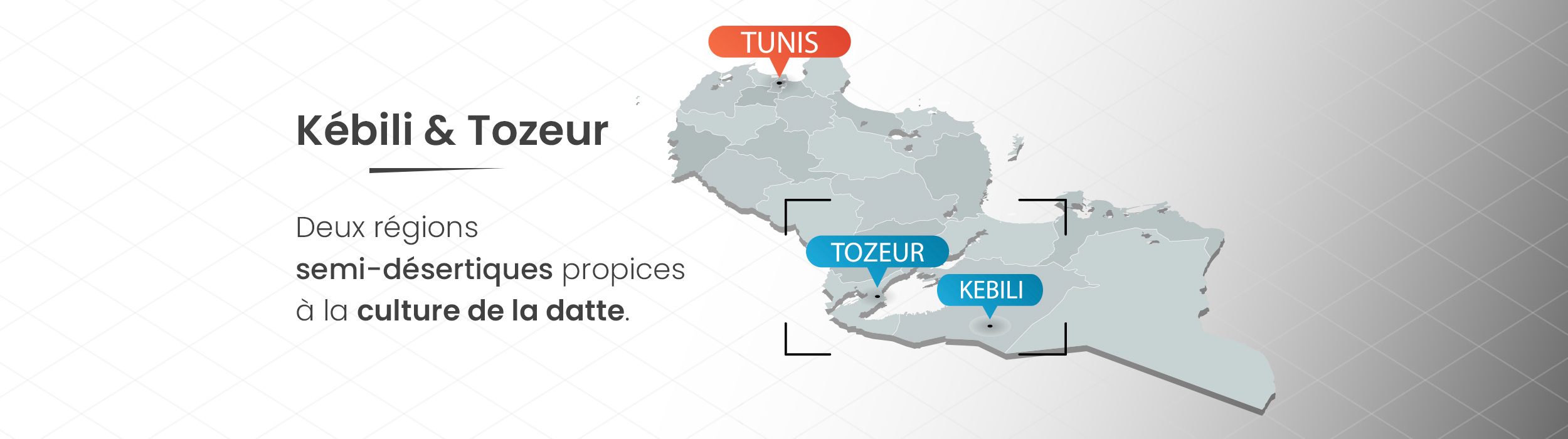 carte tunisie marché de la datte